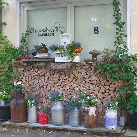Ferienhaus Napoleon Waldmünchen Exteriör bild